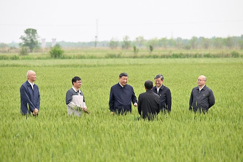 △2023年5月11日，習(xí)近平總書記在河北滄州黃驊市舊城鎮(zhèn)仙莊片區(qū)旱堿地麥田同種植戶、農(nóng)技專家親切交流。