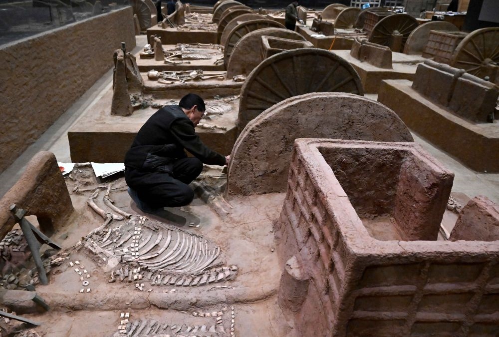 工作人員在殷墟博物館新館的展廳內(nèi)修復(fù)車馬遺跡（2月23日攝）。