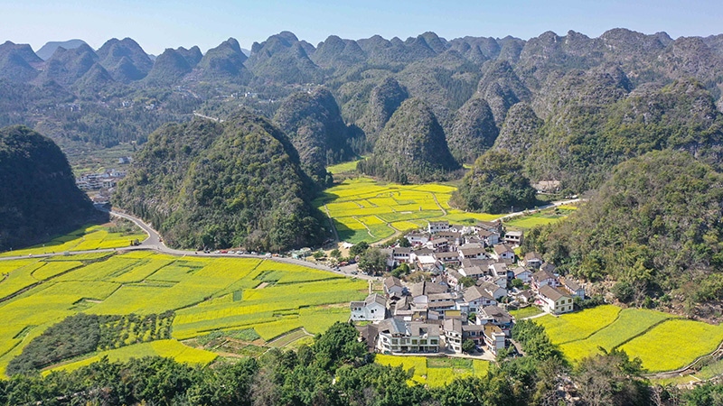 2024年2月17日，貴州省興義市萬(wàn)峰林景區(qū)的油菜花海景色（無(wú)人機(jī)照片）。