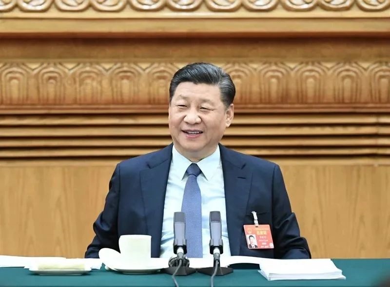 2019年3月8日，習(xí)近平參加十三屆全國(guó)人大二次會(huì)議河南代表團(tuán)的審議。新華社記者 謝環(huán)馳 攝
