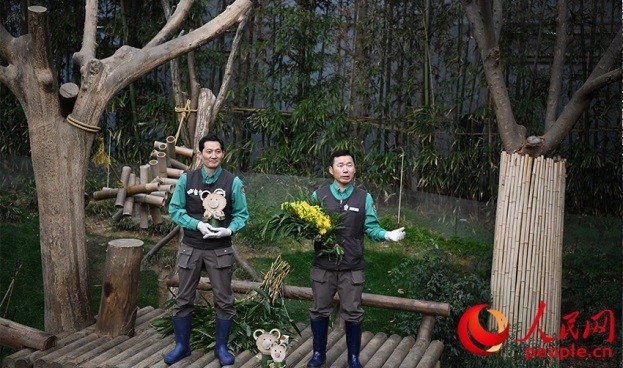 熊貓飼養(yǎng)員姜哲遠(yuǎn)和宋永寬向媒體介紹為“福寶”準(zhǔn)備的送別禮物。人民網(wǎng) 李帆攝