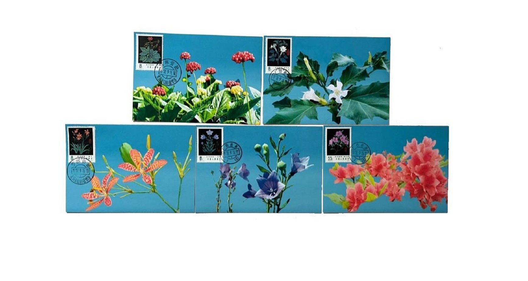 首套藥用植物極限片。第七屆阿聯(lián)酋集郵展主辦方供圖