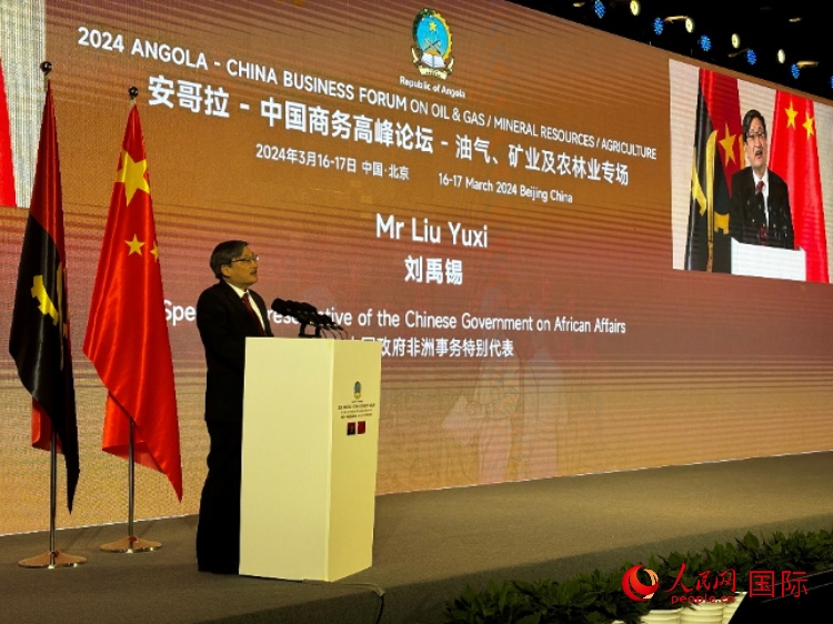 中國(guó)政府非洲事務(wù)特別代表劉禹錫。人民網(wǎng)記者 張榮攝