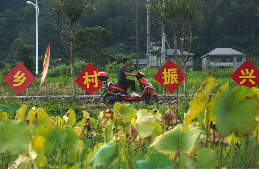 2023年8月24日拍攝的江西省靖安縣璪都鎮(zhèn)港背村一景。該村在當(dāng)?shù)卣С窒?，修古建，建民宿，搞開發(fā)，引進(jìn)竹筏漂流、觀光采摘、農(nóng)耕體驗、森林研學(xué)等多種旅游業(yè)態(tài)，建成新田園生態(tài)度假小鎮(zhèn)，發(fā)展鄉(xiāng)村旅游，走上致富路。