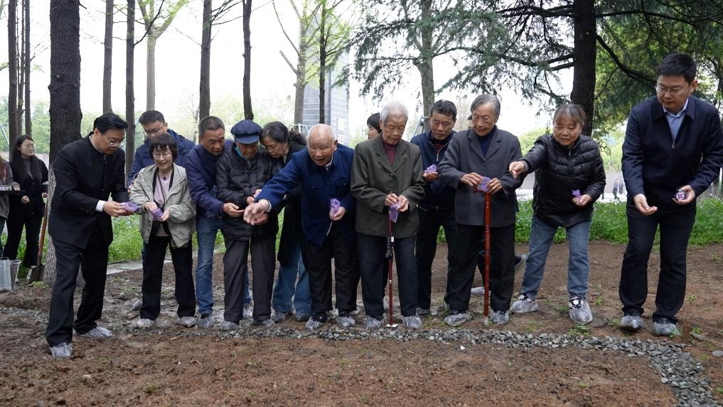 南京大屠殺幸存者代表、死難者遺屬代表等在紀(jì)念館的和平公園里，播撒下紫金草的種子。新華社記者林凱 攝