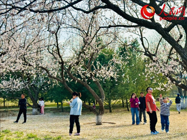 游客在北京長(zhǎng)陽公園賞花。人民網(wǎng)記者 劉微攝