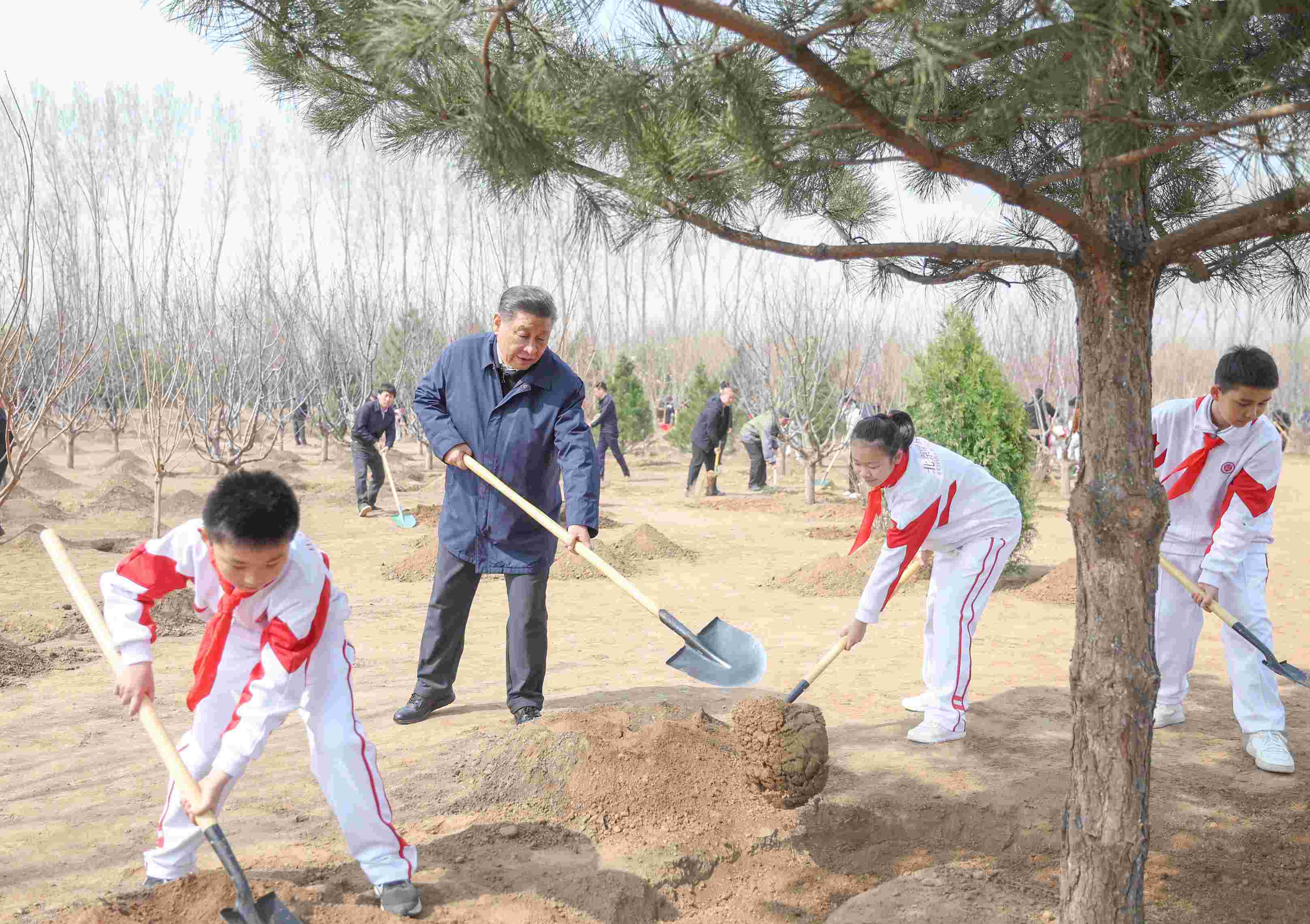 2024年4月3日，習近平總書記來到北京市通州區(qū)潞城鎮(zhèn)參加首都義務植樹活動。