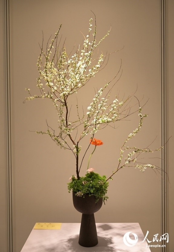 插花作品。人民網(wǎng) 玄番登史江攝