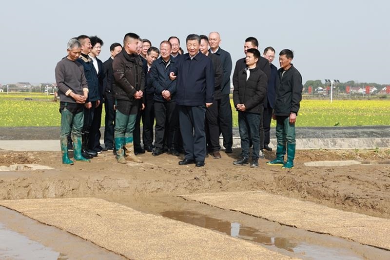 △2024年3月19日，在湖南常德市鼎城區(qū)謝家鋪鎮(zhèn)港中坪村，習(xí)近平總書記走進田間，察看秧苗培育和春耕備耕進展。