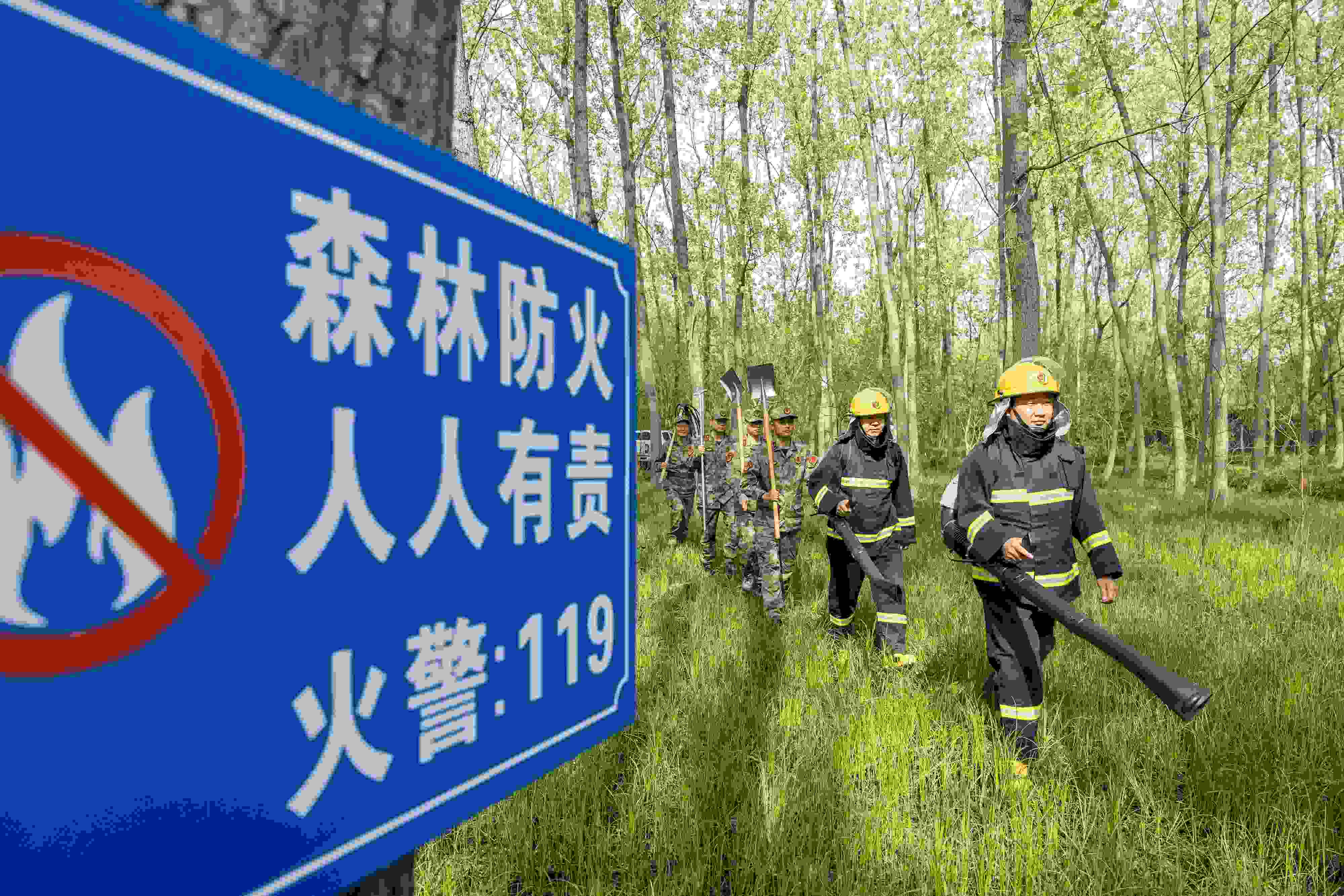 2024年4月9日，合肥市大房郢水庫水源保護地廬陽經(jīng)濟開發(fā)區(qū)段，基干民兵正在林間巡查火災隱患。