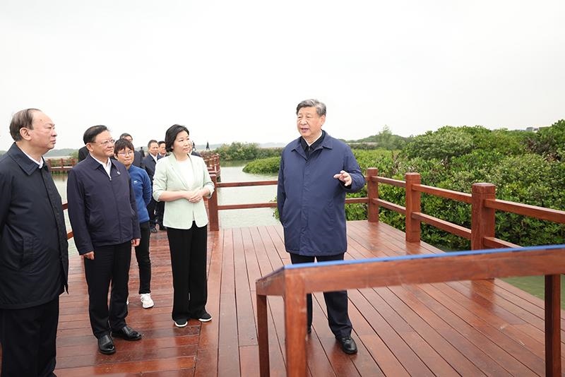 △2023年4月10日，習(xí)近平總書記在廣東湛江市麻章區(qū)湖光鎮(zhèn)金牛島紅樹林片區(qū)考察。