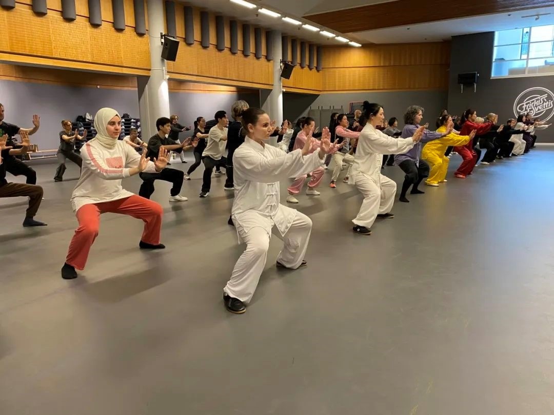 培訓(xùn)班學(xué)員學(xué)習(xí)太極拳。斯德哥爾摩中國(guó)文化中心供圖