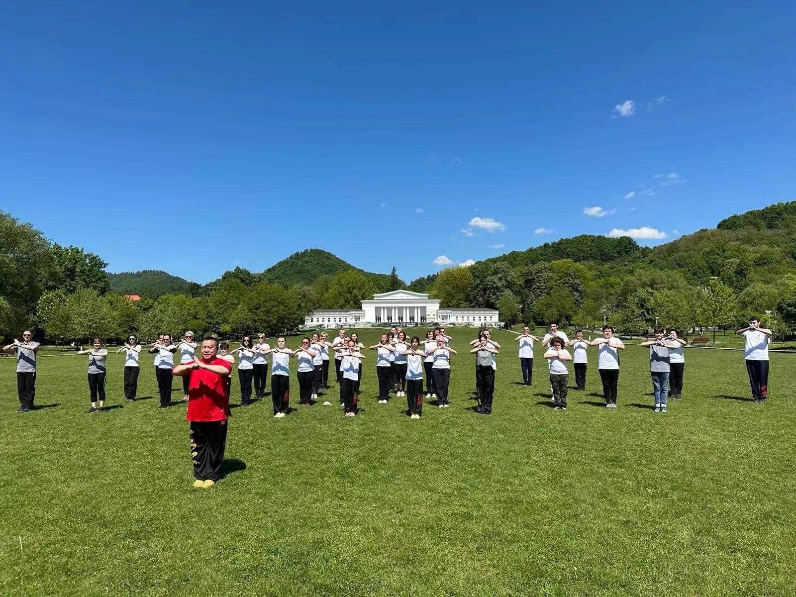 北京體育大學(xué)教授武冬帶領(lǐng)學(xué)員進(jìn)行太極拳演練。布加勒斯特中國文化中心供圖