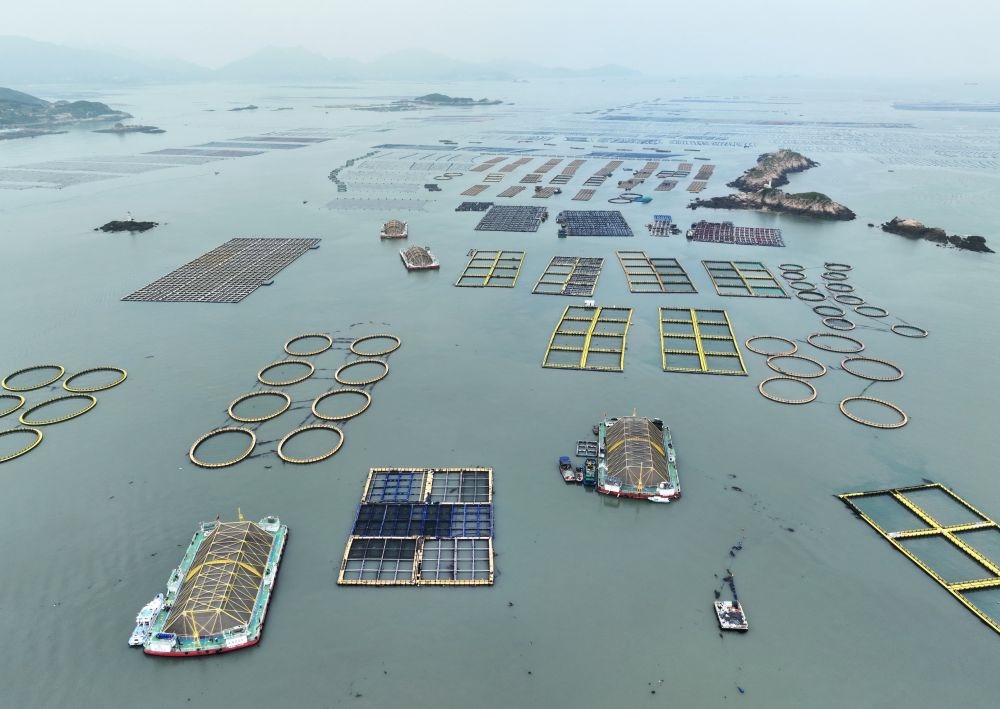 在福建連江定海灣海域，坐落著“定海灣1號”“定海灣2號”等深遠海養(yǎng)殖平臺（2024年5月7日攝，無人機照片）。新華社記者 林善傳 攝