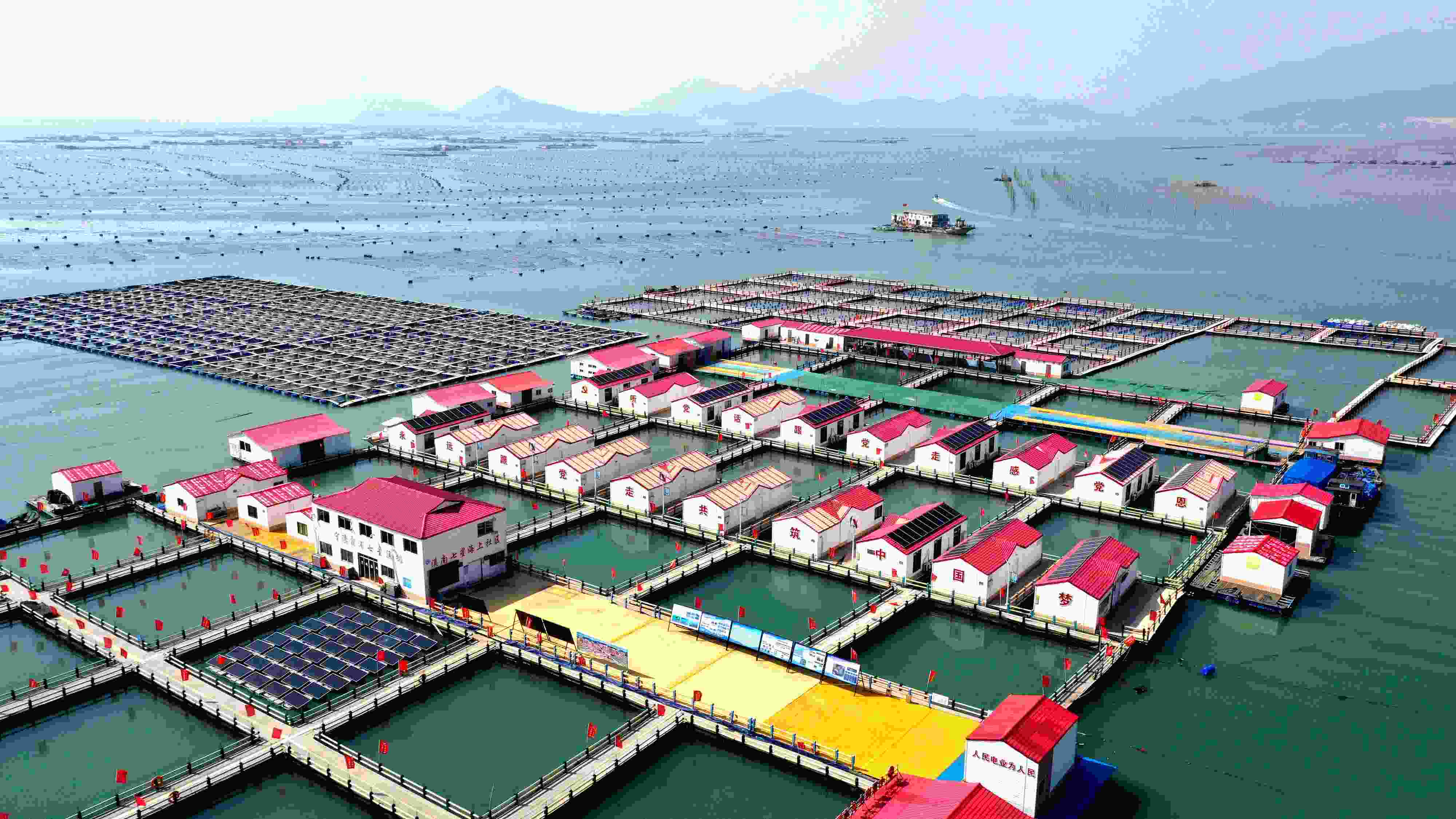 2024年3月20日，福建省寧德市，霞浦縣溪南鎮(zhèn)七星村漁排養(yǎng)殖示范區(qū)，漁民駕駛養(yǎng)殖船進(jìn)行海參養(yǎng)殖作業(yè)。
