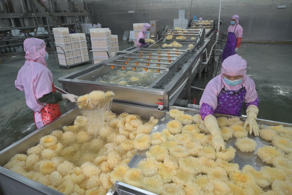2024年5月10日，在福建省寧德市古田縣，一家食品公司的工作人員在挑選清洗銀耳。新華社記者 林善傳 攝