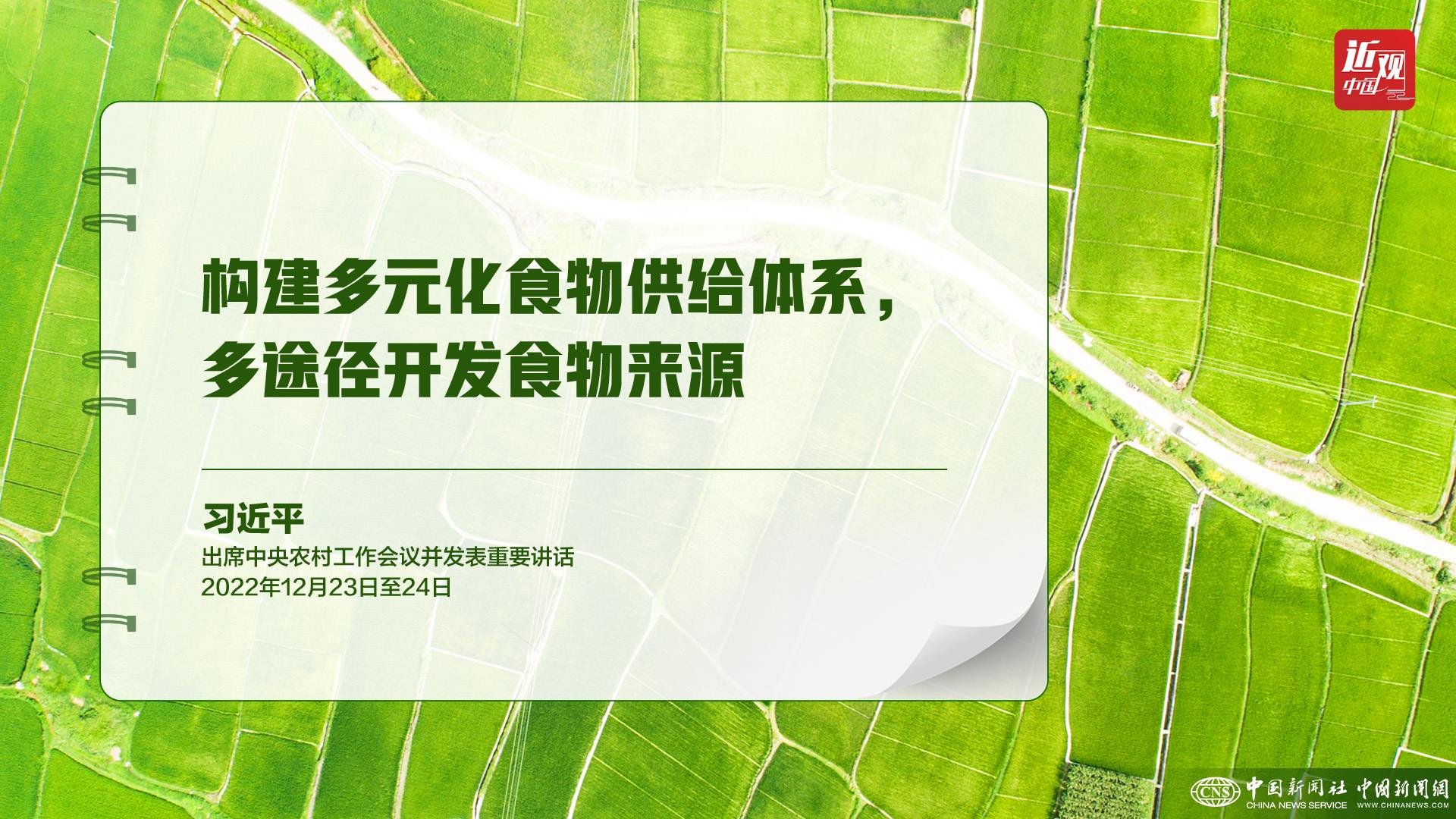 習(xí)近平：樹立大食物觀，構(gòu)建多元化食物供給體系