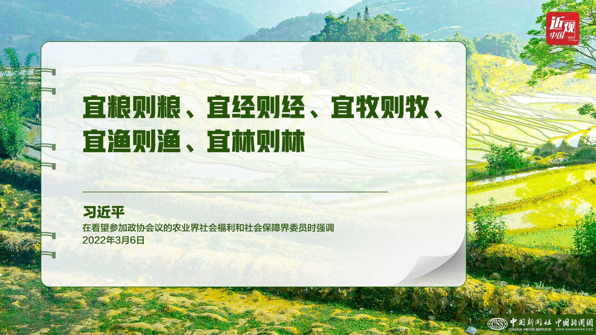 習(xí)近平：樹立大食物觀，構(gòu)建多元化食物供給體系