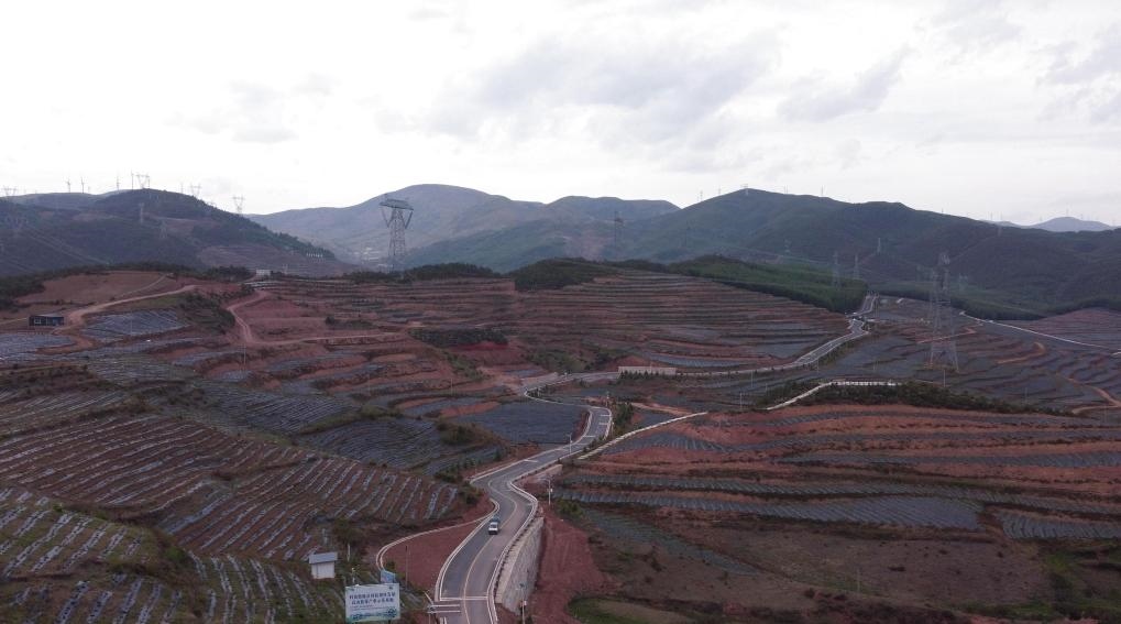 火普村的藍(lán)莓基地一角（無(wú)人機(jī)照片）。新華社記者 尹恒 攝