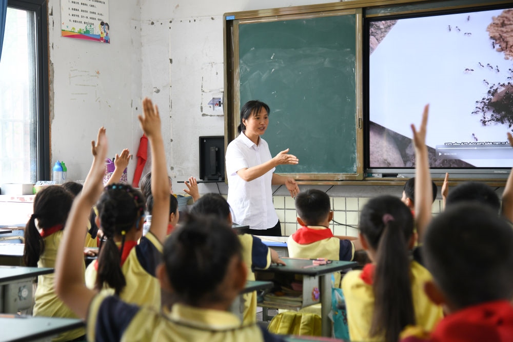 5月31日，學生在科學課上與老師互動。