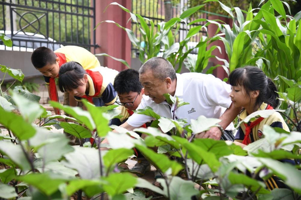 5月31日，老師帶領學生在之江小學勞動實踐基地學習蔬菜知識。新華社記者 胥冰潔 攝