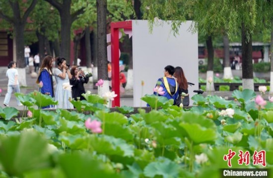 6月19日，時(shí)值一年畢業(yè)季，四川大學(xué)望江校區(qū)荷花池里的荷花盛開(kāi)，成為了畢業(yè)生們的打卡圣地，吸引了眾多畢業(yè)生拍照留念。圖為畢業(yè)生在荷花池邊拍照留念。中新社記者 安源 攝