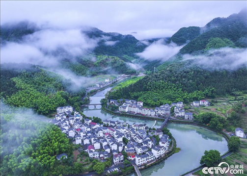 2024年6月19日，浙江省杭州市淳安縣楓樹嶺鎮(zhèn)下姜村，雨后云霧繚繞。
