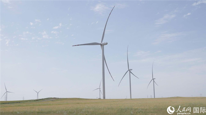 阿克莫拉州風電項目群風機。 人民網(wǎng)記者 葛泰佚攝