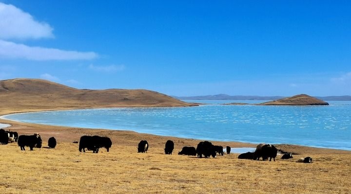 在三江源國家公園黃河源園區(qū)拍攝的扎陵湖風(fēng)光（2022年3月12日攝）。新華社記者 呂雪莉 攝