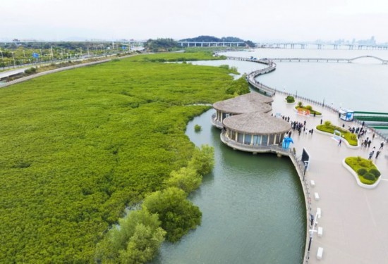2024年1月23日拍攝的廈門市翔安區(qū)下潭尾紅樹(shù)林公園（無(wú)人機(jī)照片）。新華社記者 林善傳 攝