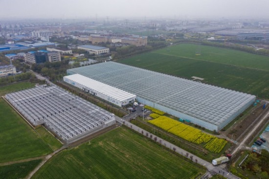 2024年3月28日，空中俯瞰嘉興南湖區(qū)湘家蕩農(nóng)業(yè)數(shù)字化工廠（無(wú)人機(jī)照片）。該農(nóng)業(yè)數(shù)字化工廠占地總面積約62畝，包含智慧農(nóng)業(yè)生產(chǎn)、物聯(lián)網(wǎng)智能管理、自動(dòng)分揀包裝、保鮮儲(chǔ)藏物流、高科技示范展示等五大功能區(qū)，可直接或間接培養(yǎng)帶動(dòng)新型職業(yè)技術(shù)農(nóng)民500人以上。新華社記者 徐昱 攝