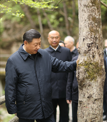2020年4月，習(xí)近平總書記來(lái)到位于商洛市柞水縣的秦嶺牛背梁國(guó)家級(jí)自然保護(hù)區(qū)，考察秦嶺生態(tài)保護(hù)情況。新華社記者 鞠鵬 攝