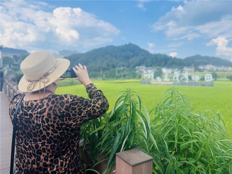 “我在花茂有塊田”，不僅是中國人的詩和遠方，也是塔吉克斯坦“阿維斯塔”通訊社總編輯占納特洪·庫爾班諾娃的“烏托邦”。（張亞欣攝）