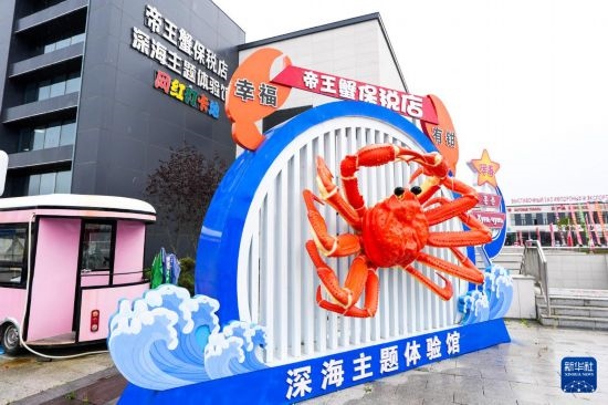 這是9月20日拍攝的位于吉林省琿春市的東北亞跨境電商產(chǎn)業(yè)園內(nèi)的帝王蟹保稅店。新華社記者 許暢 攝