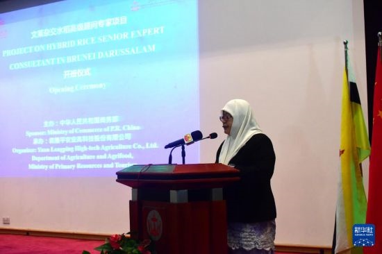 10月26日，文萊初級資源與旅游部常任秘書圖蒂亞蒂在斯里巴加灣市出席中國與文萊雜交水稻高級專家顧問項(xiàng)目啟動儀式。新華社記者 李萌 攝
