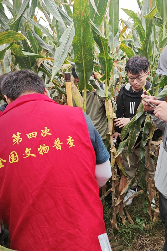 普查隊員正在使用探鏟進行探測。中國文物報供圖
