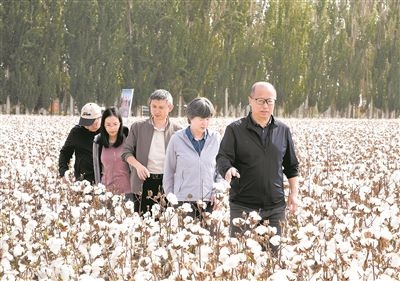 李召虎團隊成員在棉田了解試驗情況。 受訪單位供圖
