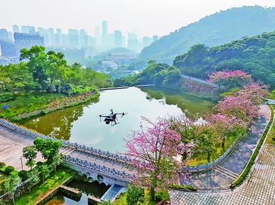 無人機(jī)在深圳塘朗山郊野公園里巡檢。新華社發(fā)