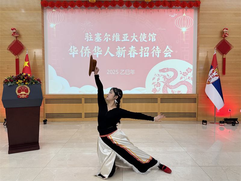 招待會(huì)現(xiàn)場(chǎng)表演。諾維薩德孔子學(xué)院供圖