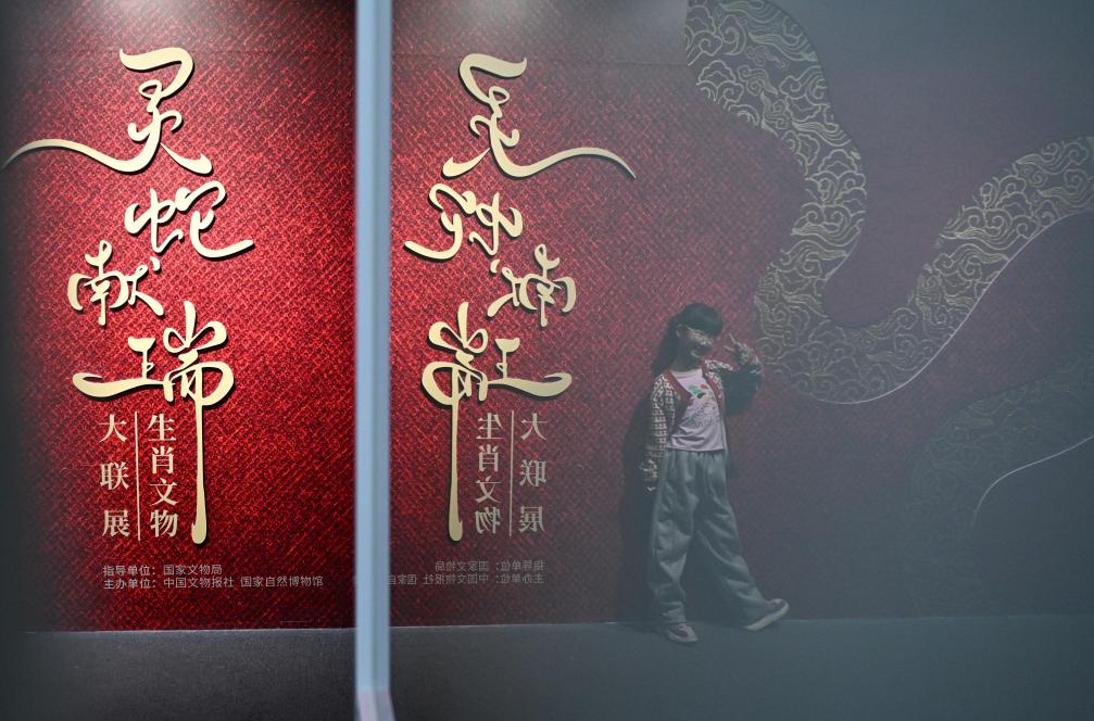 1月18日，一名小朋友在國家自然博物館舉辦的“靈蛇獻(xiàn)瑞——2025乙巳蛇年生肖文物大聯(lián)展”展覽中拍照留念。（新華社記者 陳鐘昊 攝）