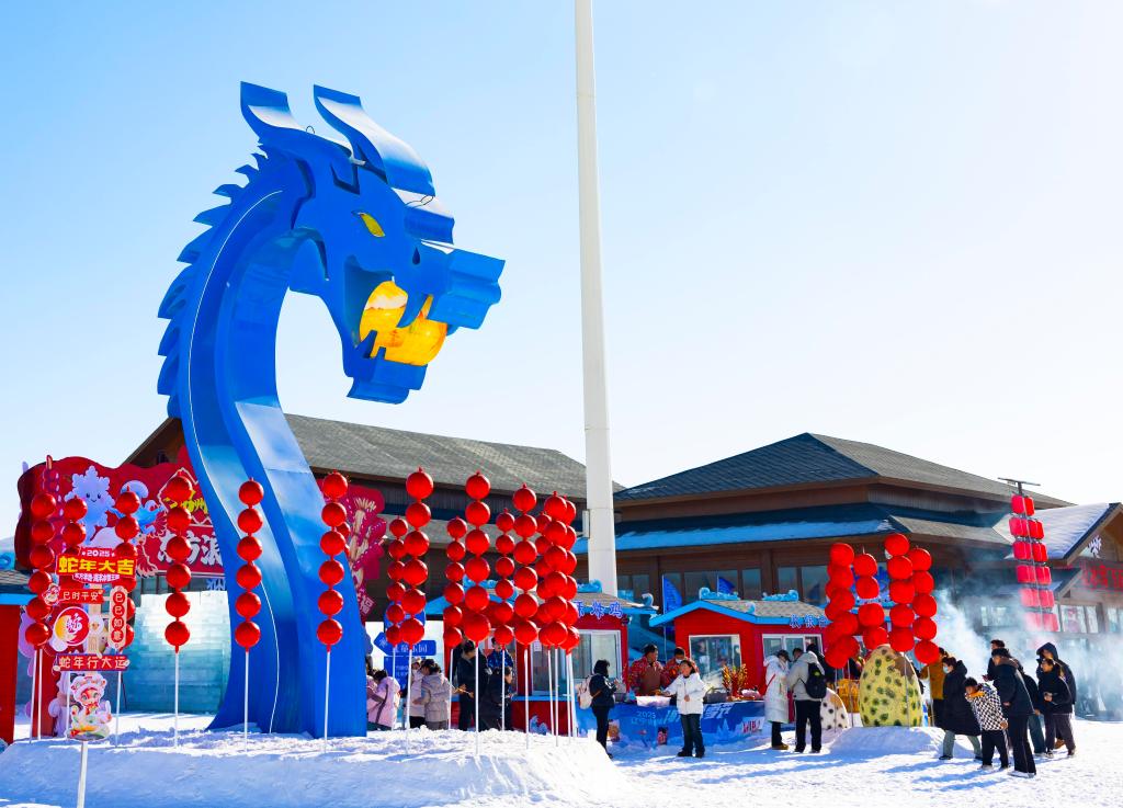 2025年1月，游客在遼寧錦州東方華地城海洋冰雪王國內(nèi)游覽。新華社發(fā)