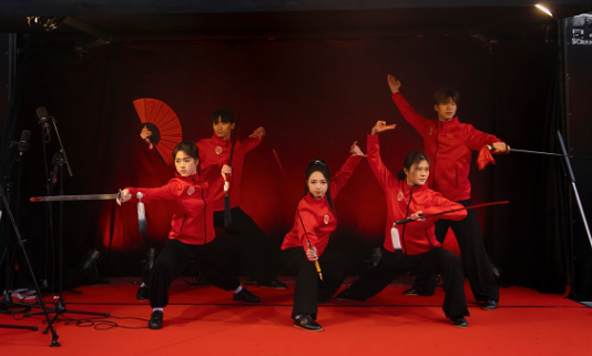 武術(shù)表演。中國駐芬蘭大使館供圖