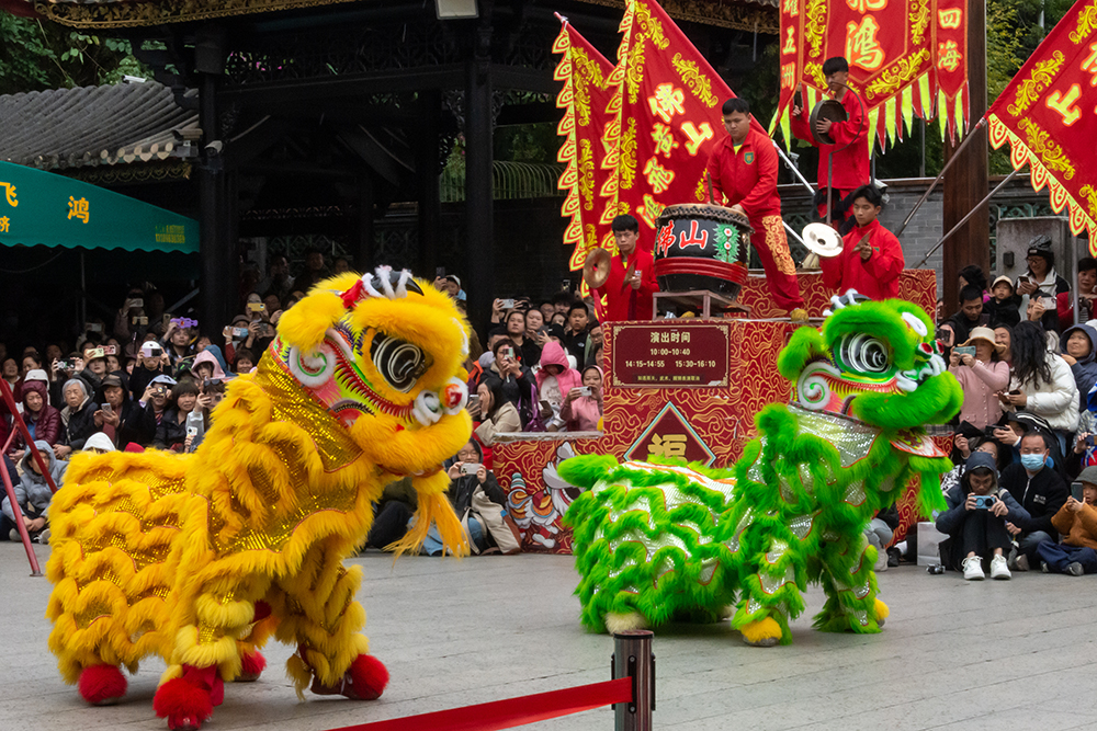 圖為廣東省佛山市祖廟的醒獅表演。