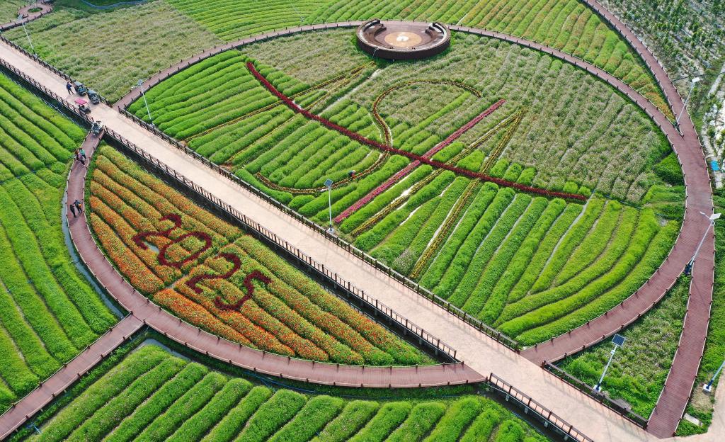 這是3月21日拍攝的瓊海博鰲南強(qiáng)村景色（無(wú)人機(jī)照片）。新華社記者 郭程 攝