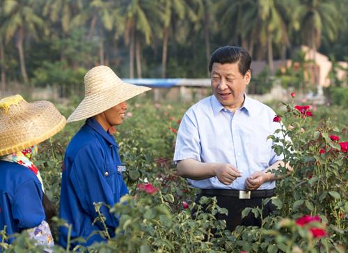 △2013年4月9日，習(xí)近平總書記在海南亞龍灣蘭德玫瑰風(fēng)情產(chǎn)業(yè)園向花農(nóng)了解玫瑰種植管理技術(shù)。