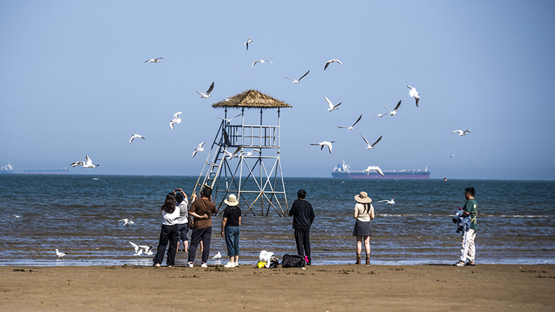 2024年5月12日，河北秦皇島，北戴河鴿子窩公園成群海鷗在天空中自由翱翔，與大海、藍(lán)天構(gòu)成了一幅美麗的畫(huà)卷。