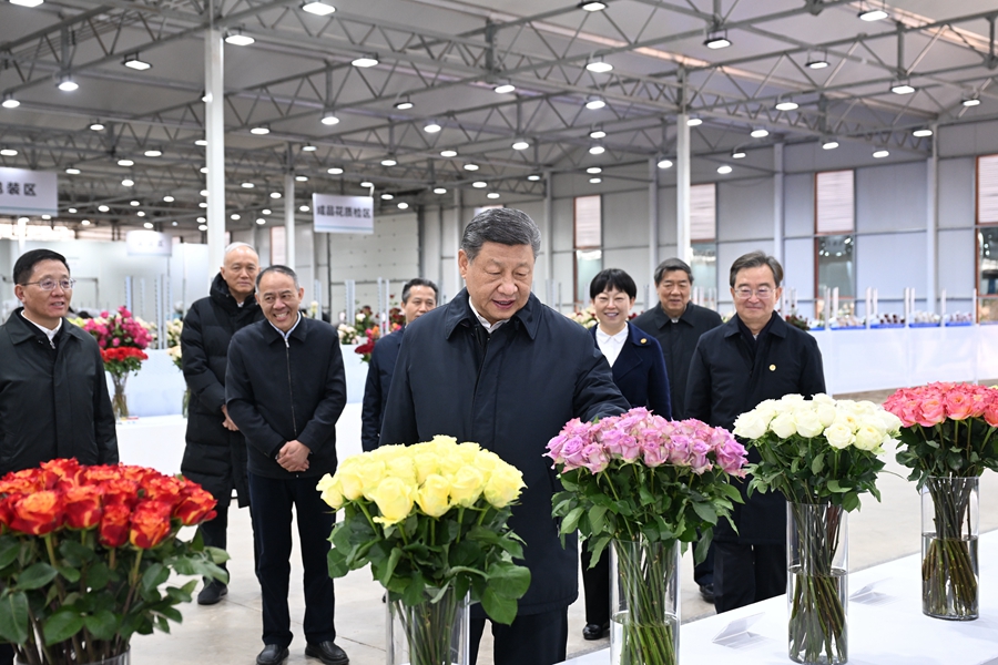 △3月19日下午，習(xí)近平總書記在云南麗江現(xiàn)代花卉產(chǎn)業(yè)園展廳考察時，察看鮮切花品種展示。