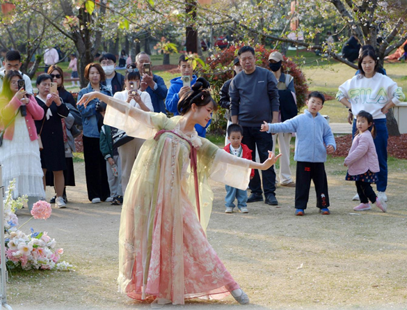清明假期期間，上海顧村公園櫻花島上，游客在觀賞國風(fēng)漢服快閃表演。（圖片來源：視覺中國）