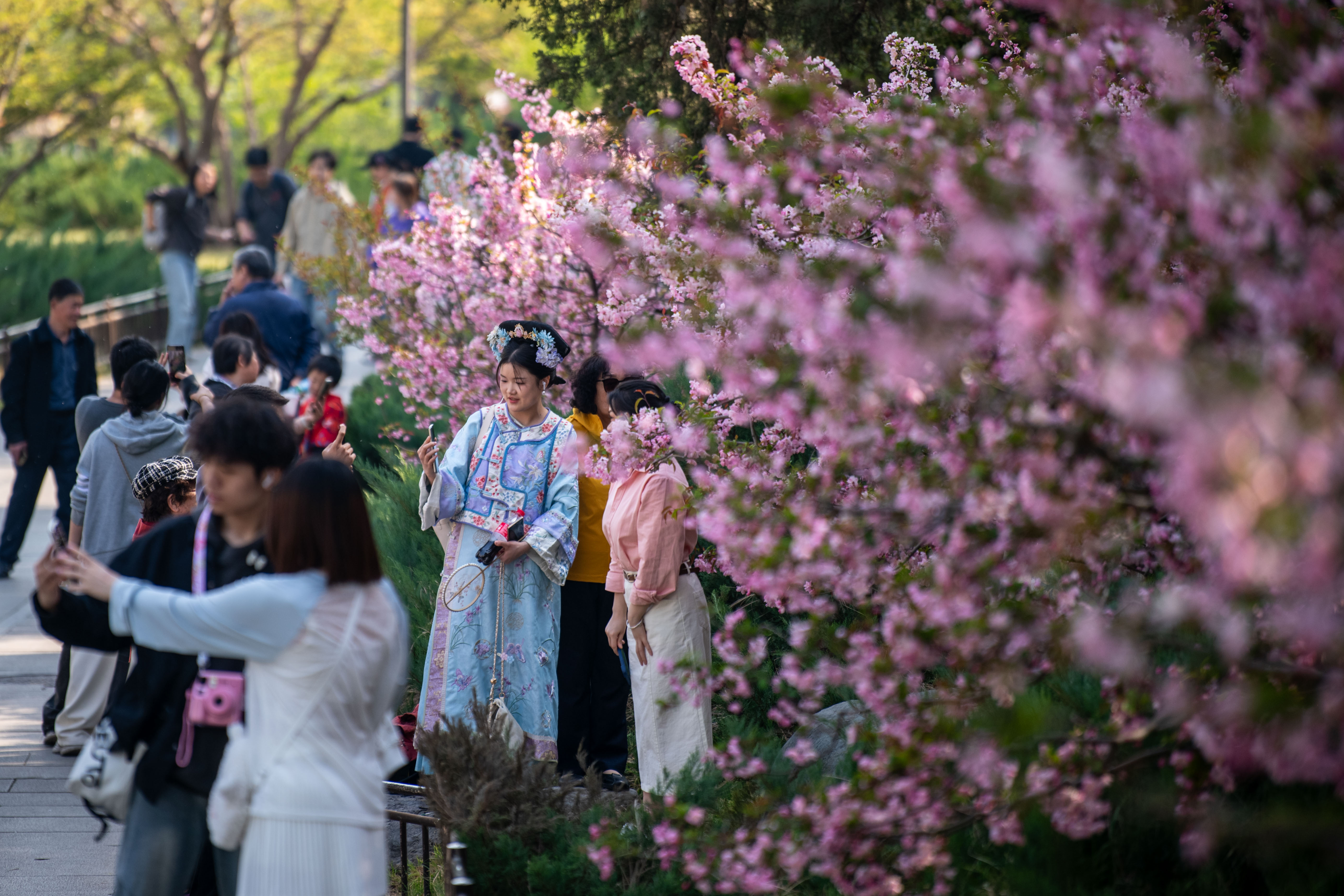 2025年4月6日，北京北海公園，滿園春色醉游人。人民網(wǎng)記者 翁奇羽攝