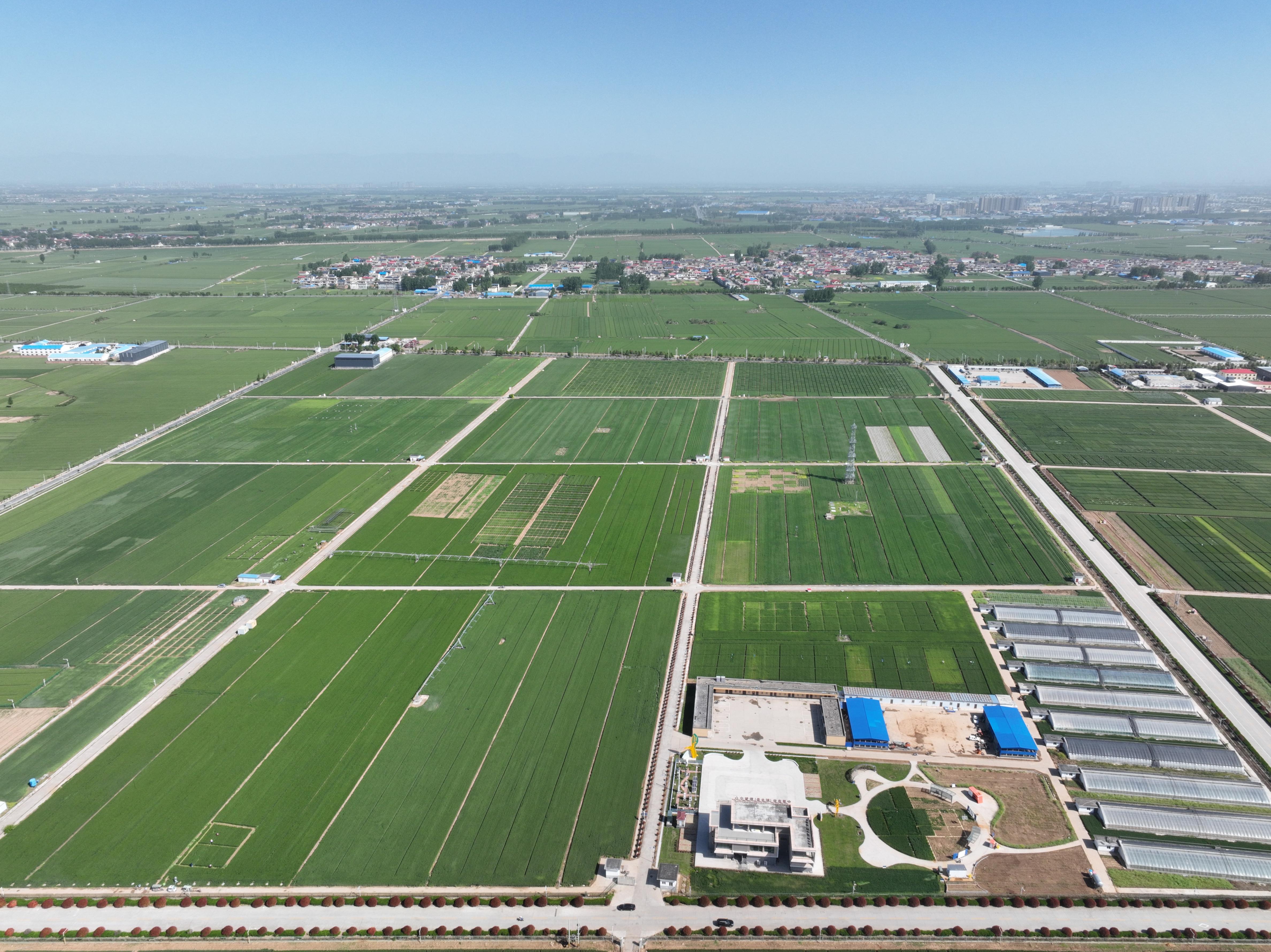 俯瞰水利部灌溉試驗總站試驗研究基地。受訪者供圖